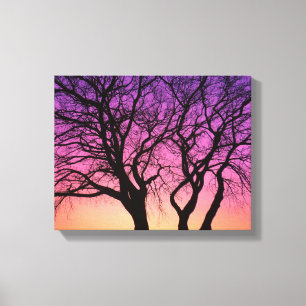 Baum-Silhouetten im Sonnenuntergang - Leinwanddruck