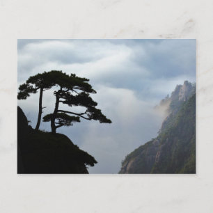 Baum silhouettiert bei Sonnenaufgang, Gelber Berg, Postkarte