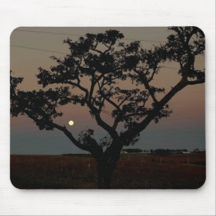 Baum Sonnenuntergang Wand Naturfotografie Mousepad