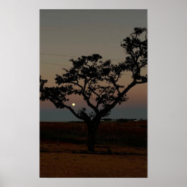 Baum Sonnenuntergang Wand Naturfotografie Rustikal Poster