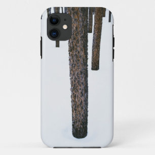 Baum-Stämme im Schnee Case-Mate iPhone Hülle