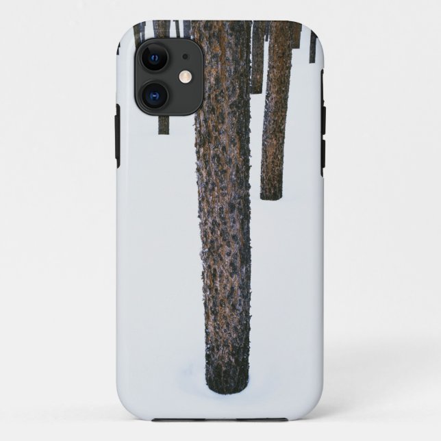 Baum-Stämme im Schnee Case-Mate iPhone Hülle (Rückseite)