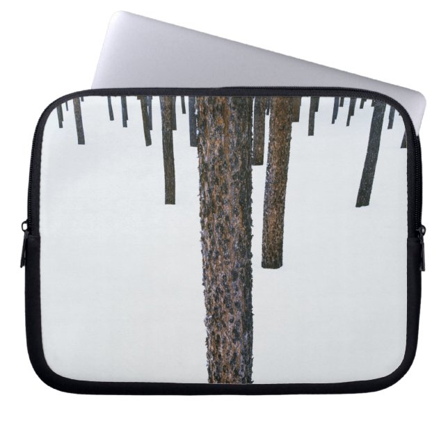 Baum-Stämme im Schnee Laptopschutzhülle (Vorderseite)