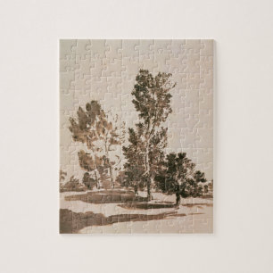 Baum-Studie (Stift u. Tinte auf Papier)