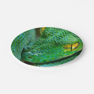 Baum-Szene Pappteller