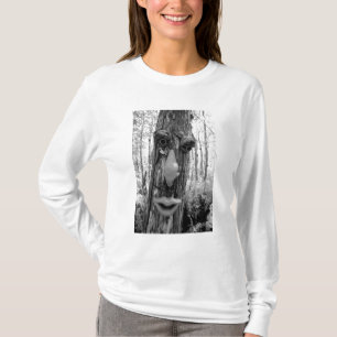 Baum-Troll auf einem Big Cypress-Baum. T-Shirt