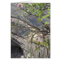 Baum über einem Strohdach - leere Karte