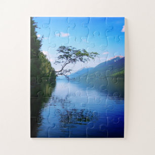 Baum über Wasser
