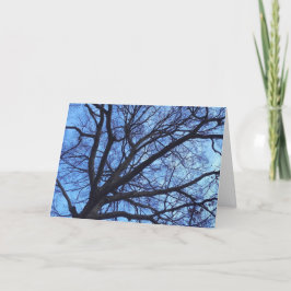 Baum-Überdachung gegen einen blauen Winter-Himmel Feiertagskarte
