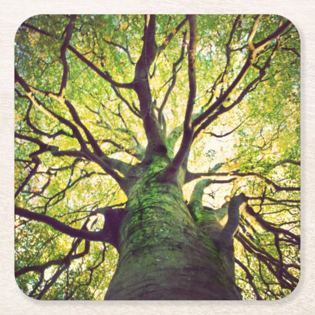 Baum-Umarmen Rechteckiger Pappuntersetzer (Vorderseite)