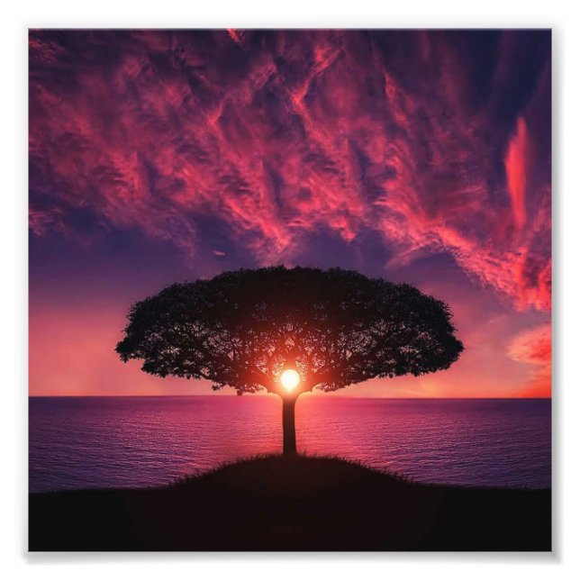 Baum und Sonne Fotodruck (Vorne)
