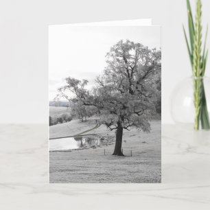 Baum und Teich Feiertagskarte
