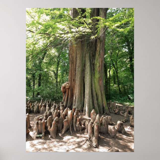 Baum und Wurzeln Poster (Vorne)