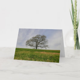 Baum von Leben Karte