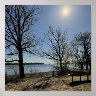 Baum-Wasserlandschaft-Poster Poster