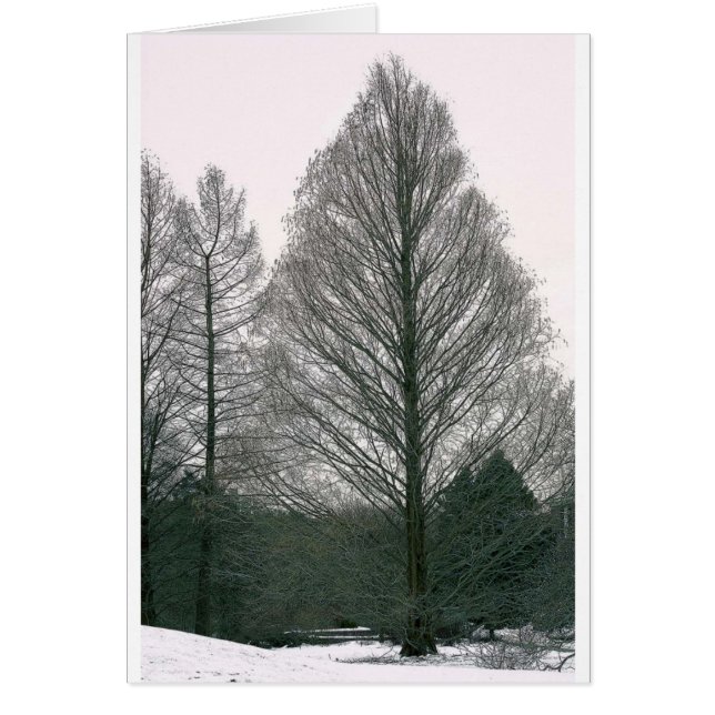 Baum - Wellen-Hügel NYC (Vorne)