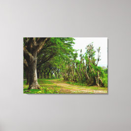 Baumallee Weg Landschaft Reisefotografie Leinwanddruck