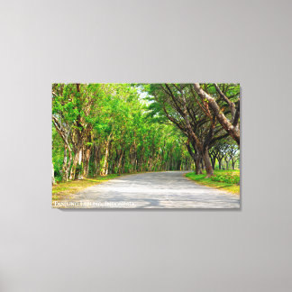 Baumallee Weg Landschaft Reisefotografie Leinwanddruck