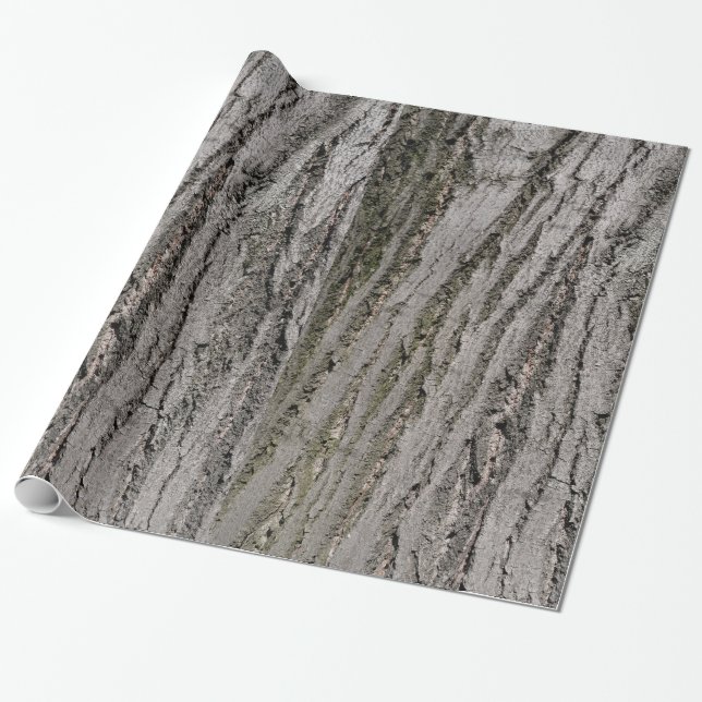 Baumbarken-Beschaffenheitsmuster-Natur-Pflanze Geschenkpapier (Ungerollt)