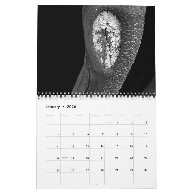 Bäume 2010 kalender (Jan 2026)