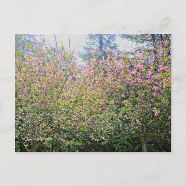 Bäume #3 postkarte (Vorderseite)