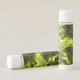 Baume à lèvres vert en fleur d'été
