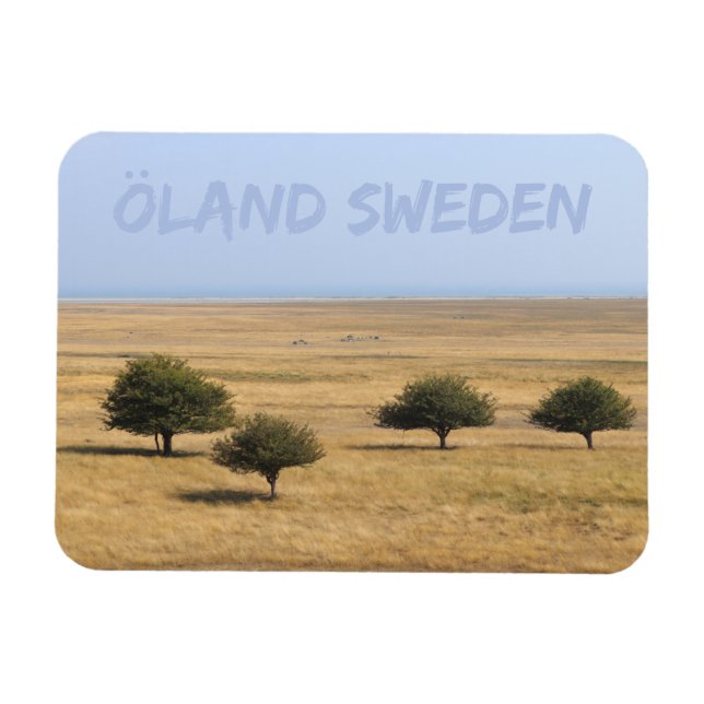 Bäume an der Savannah, Öland, Schweden Magnet (Horizontal)