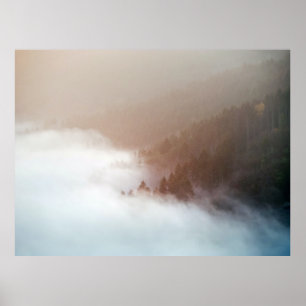 Bäume auf Bergen, bedeckt mit Nebeln Poster