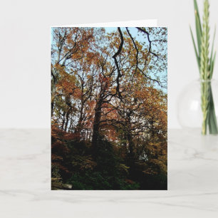 Bäume auf der Bank Karte