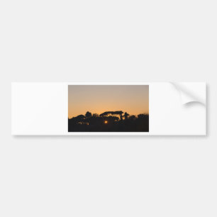 Bäume bei Sonnenuntergang in Gegenlicht in Rom Autoaufkleber