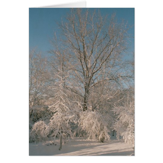 Bäume beladen mit Schnee Notecards Karte