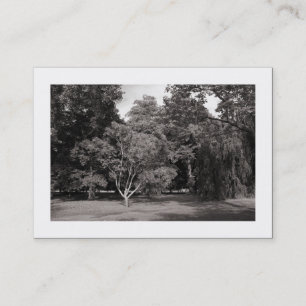 Bäume, Bute Park, Cardiff - Warm BW (gerahmt) Visitenkarte