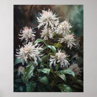 Baume d'abeille blanc Fleurs Art Imprimer Poster