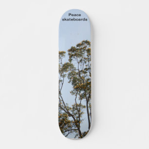 Bäume des Wachstums und des Lernskateboards Skateboard