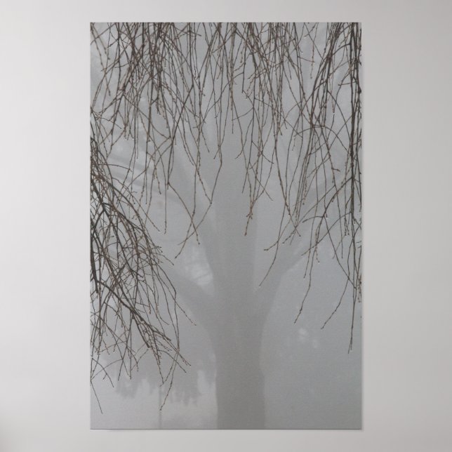 Bäume, die einen anderen Baum in Nebel umrahmen, O Poster (Vorne)