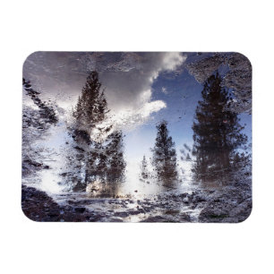 Bäume, die im Regenwasser reflektieren Magnet