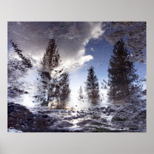 Bäume, die im Regenwasser reflektieren Poster