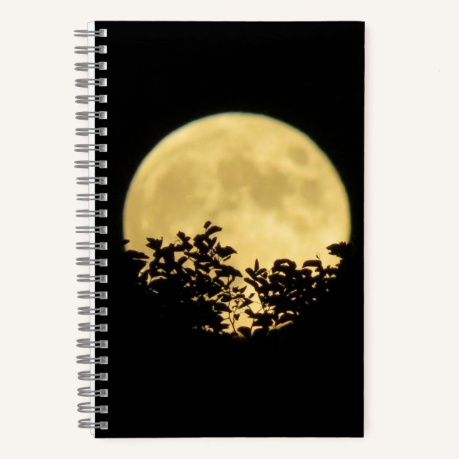 Bäume, die von Vollmond beleuchtet werden Notizbuch (Vorderseite)