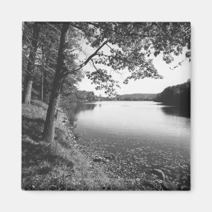 Bäume durch Fluss B&W Magnet