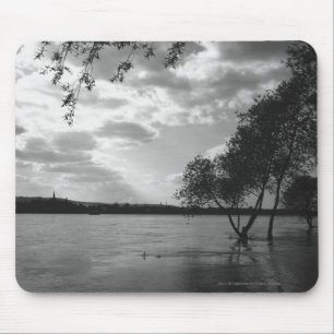 Bäume durch See B&W Mousepad