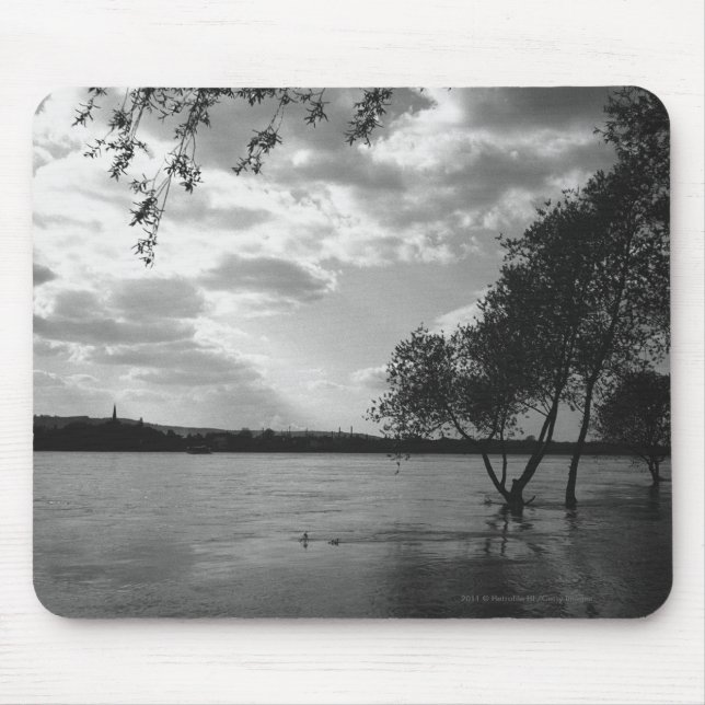 Bäume durch See B&W Mousepad (Vorne)
