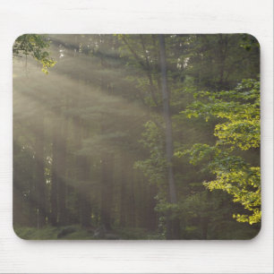 Bäume entlang der 7 Lakes Drive, Harriman, NY Mousepad