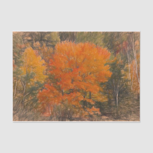 Bäume fallen Wald Wälder Orange Sketch Kunst Seidenpapier (Vorderseite)