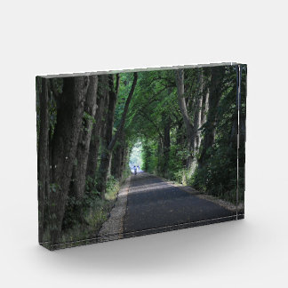 Bäume Fotoblock