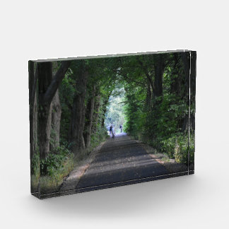 Bäume fotoblock