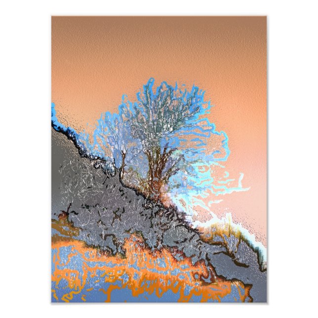 BÄUME FOTODRUCK (Vorne)