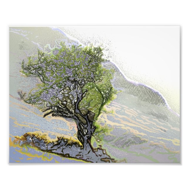 BÄUME FOTODRUCK (Vorne)