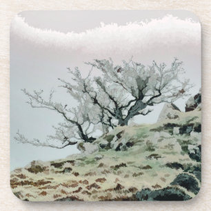 BÄUME GETRÄNKEUNTERSETZER