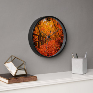 Bäume Herbst Herbstlaube Orangenwald Uhr