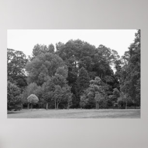 Bäume im Bute Park, Cardiff - BW Poster